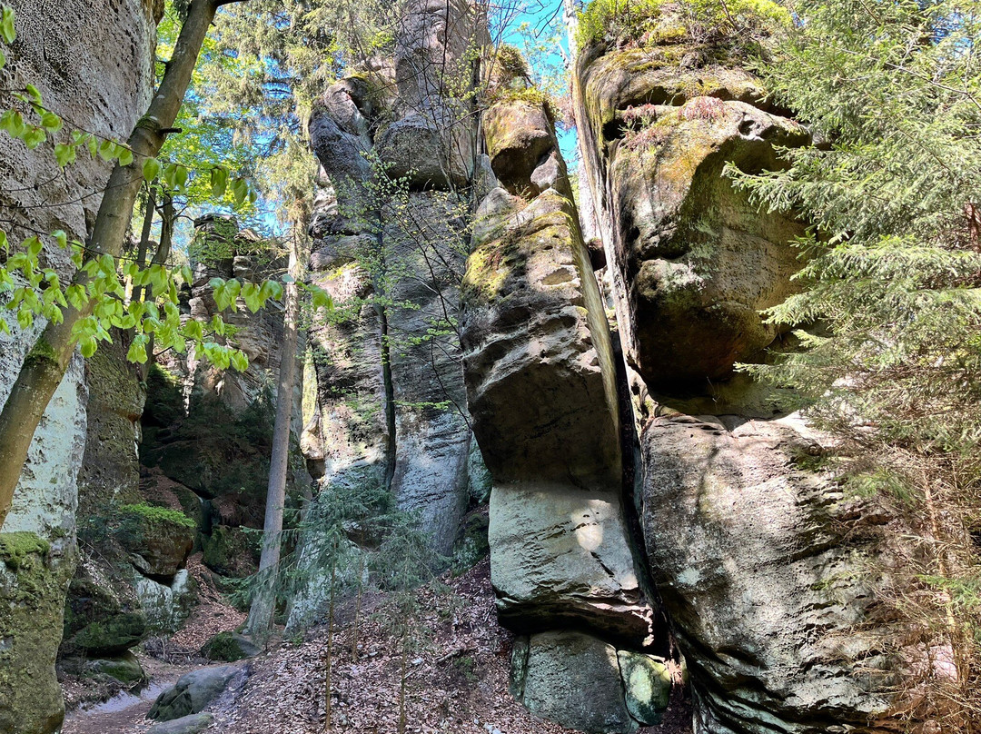 Prachov Rocks景点图片