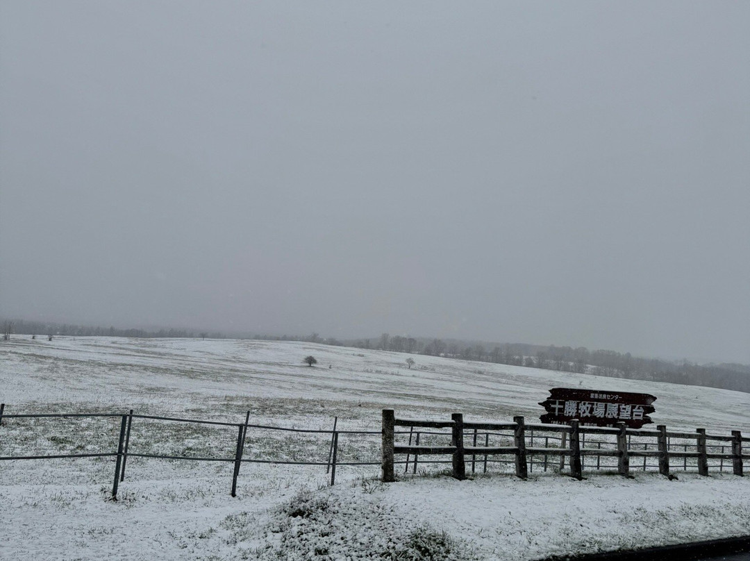 Tokachi Ranch-音更町必去景点