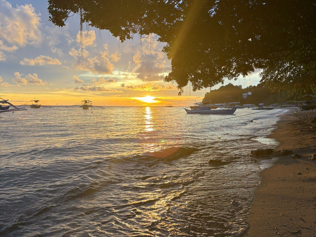 Easy Diving and Beach Resort主图