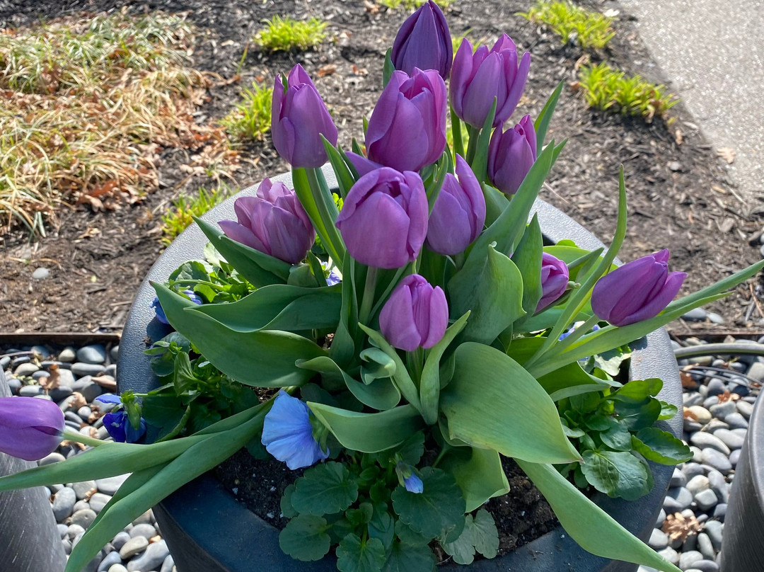 肯辛顿科特酒店主图