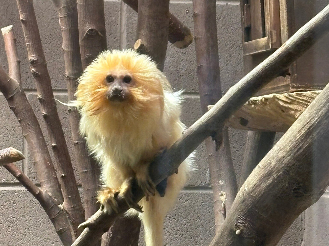 Belfast Zoo-Newtownabbey必去景点