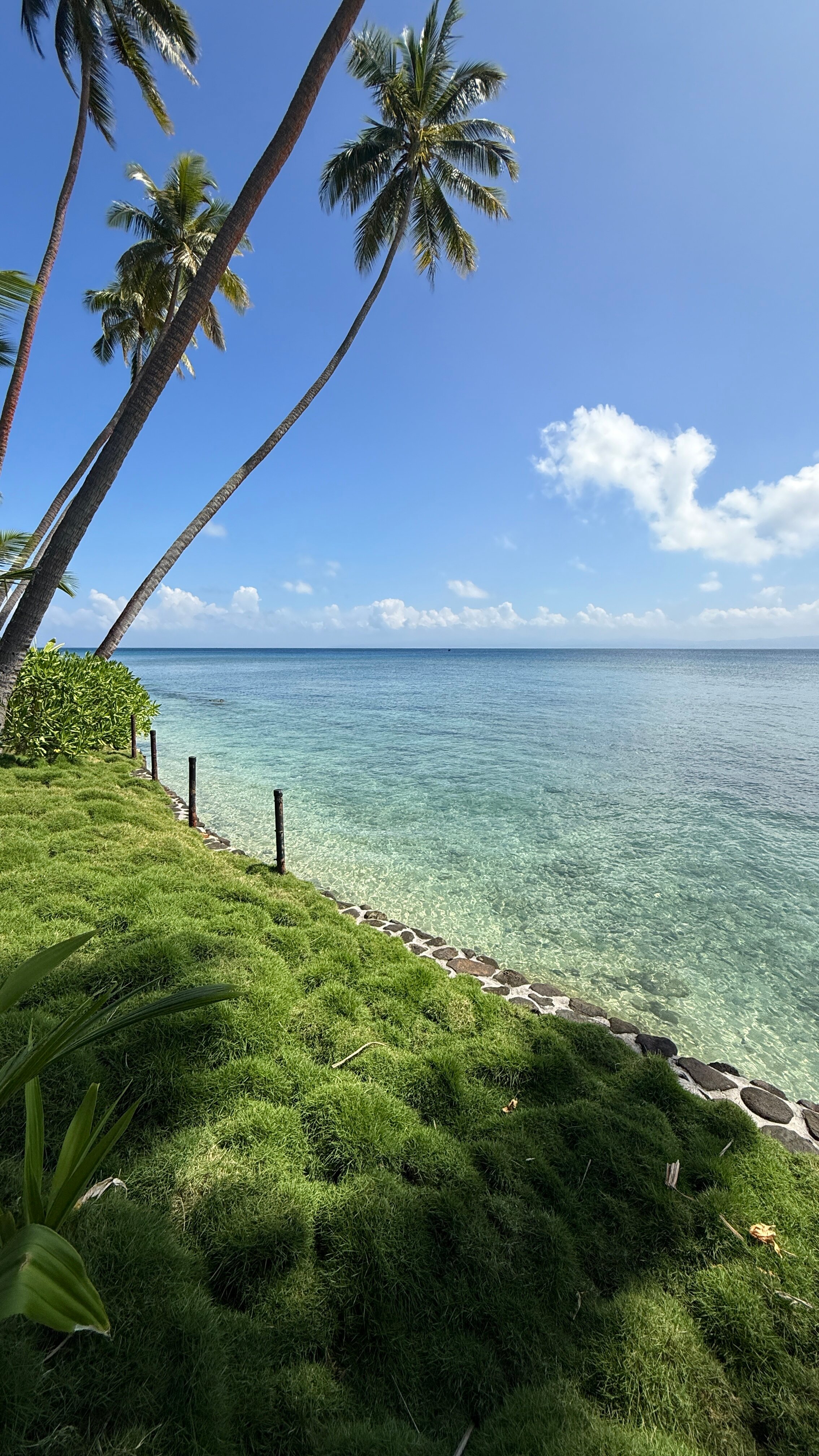 Jean-Michel Cousteau Resort Fiji-泳池