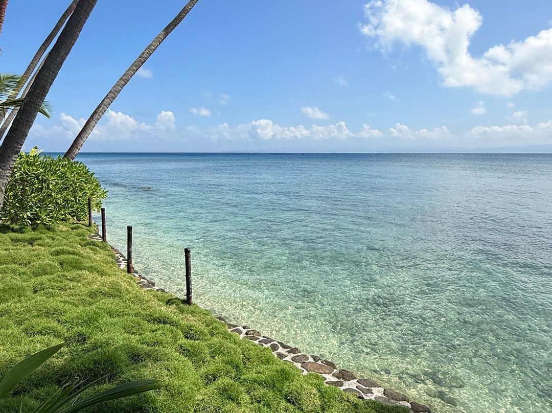Jean-Michel Cousteau Resort Fiji主图