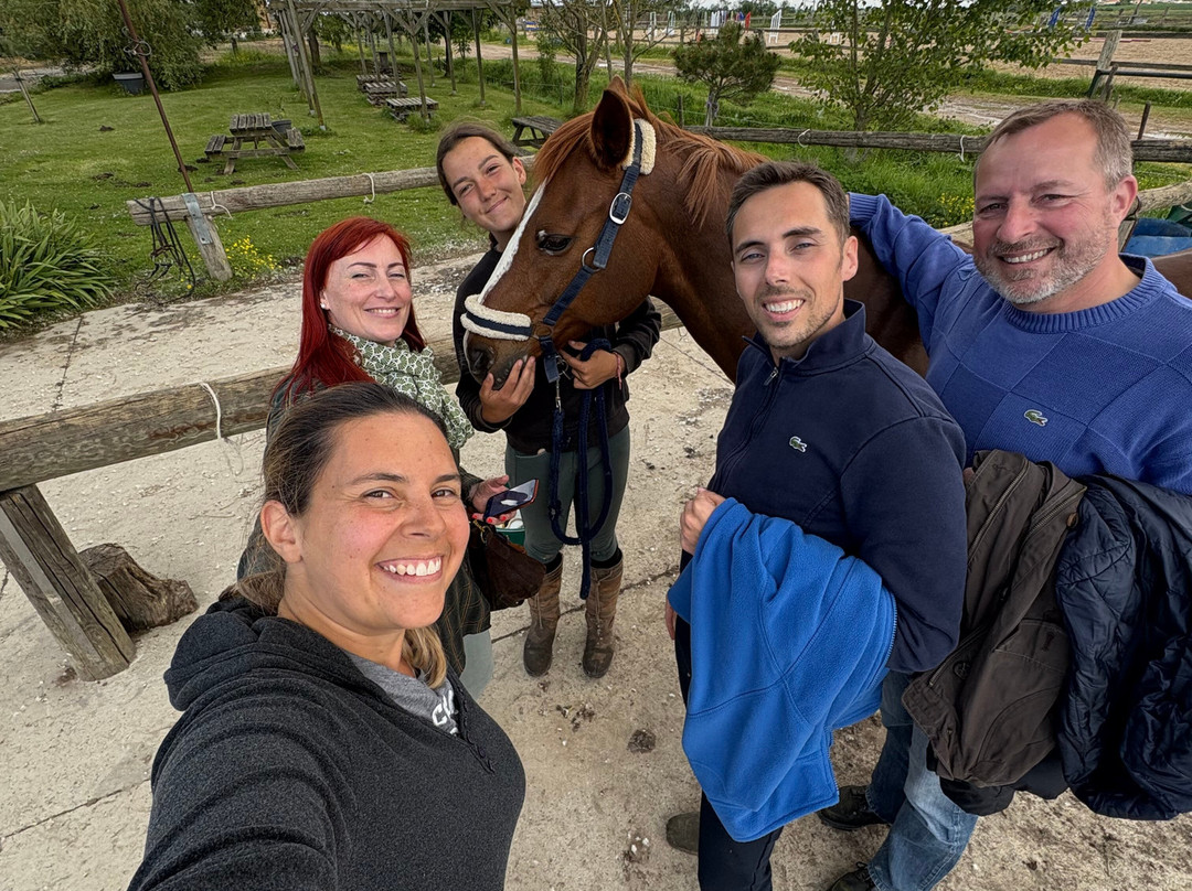 Centre equestre le marais en selle-Yves必去景点