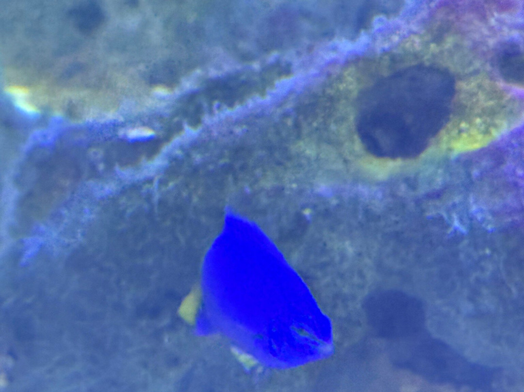 Hastings Aquarium-海斯廷斯必去景点