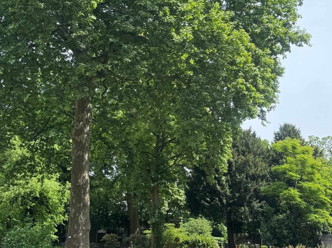 Zoo Antwerpen (dierentuin)景点图片