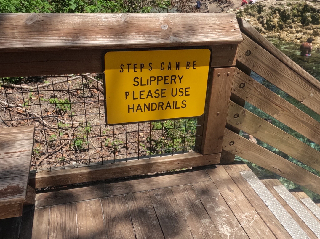 Madison Blue Springs State Park-Lee必去景点