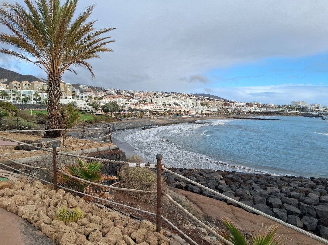 Playa del Duque