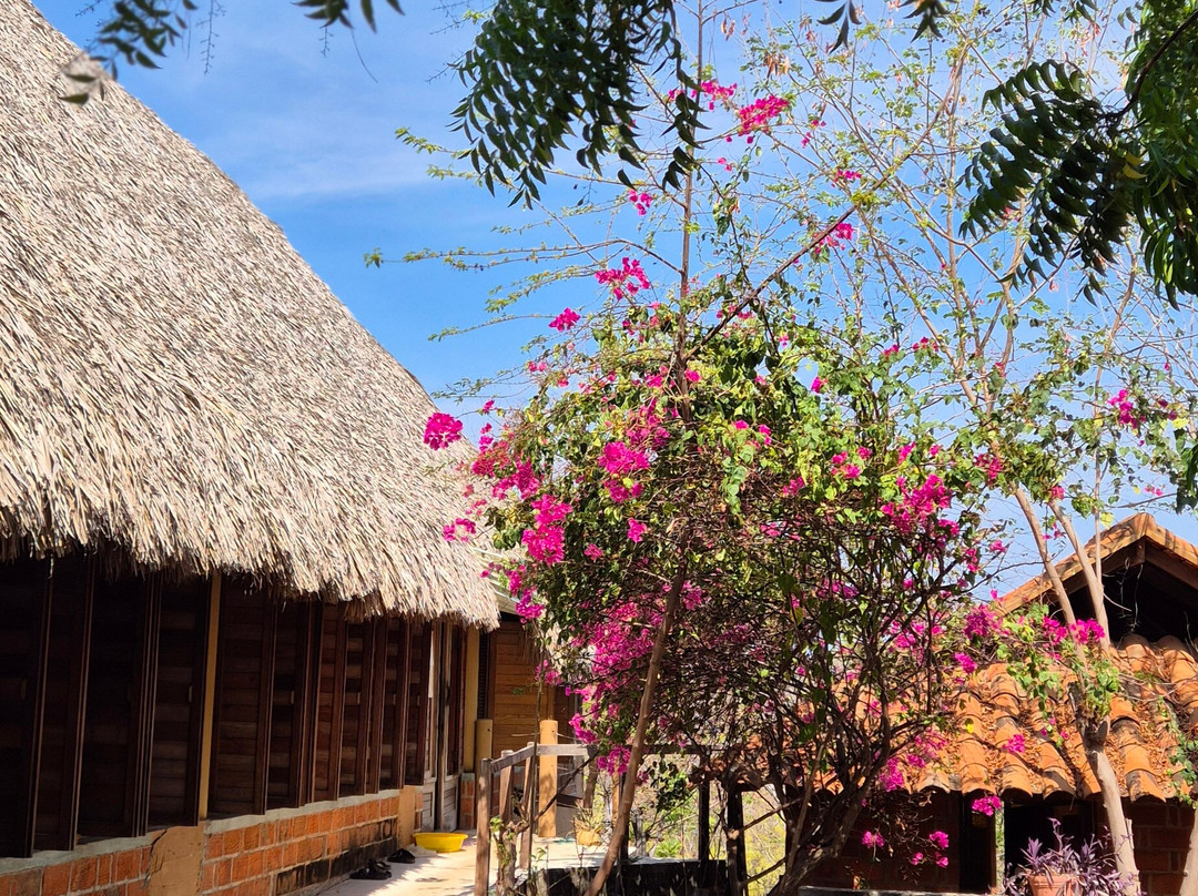 Hridaya Yoga-Mazunte必去景点