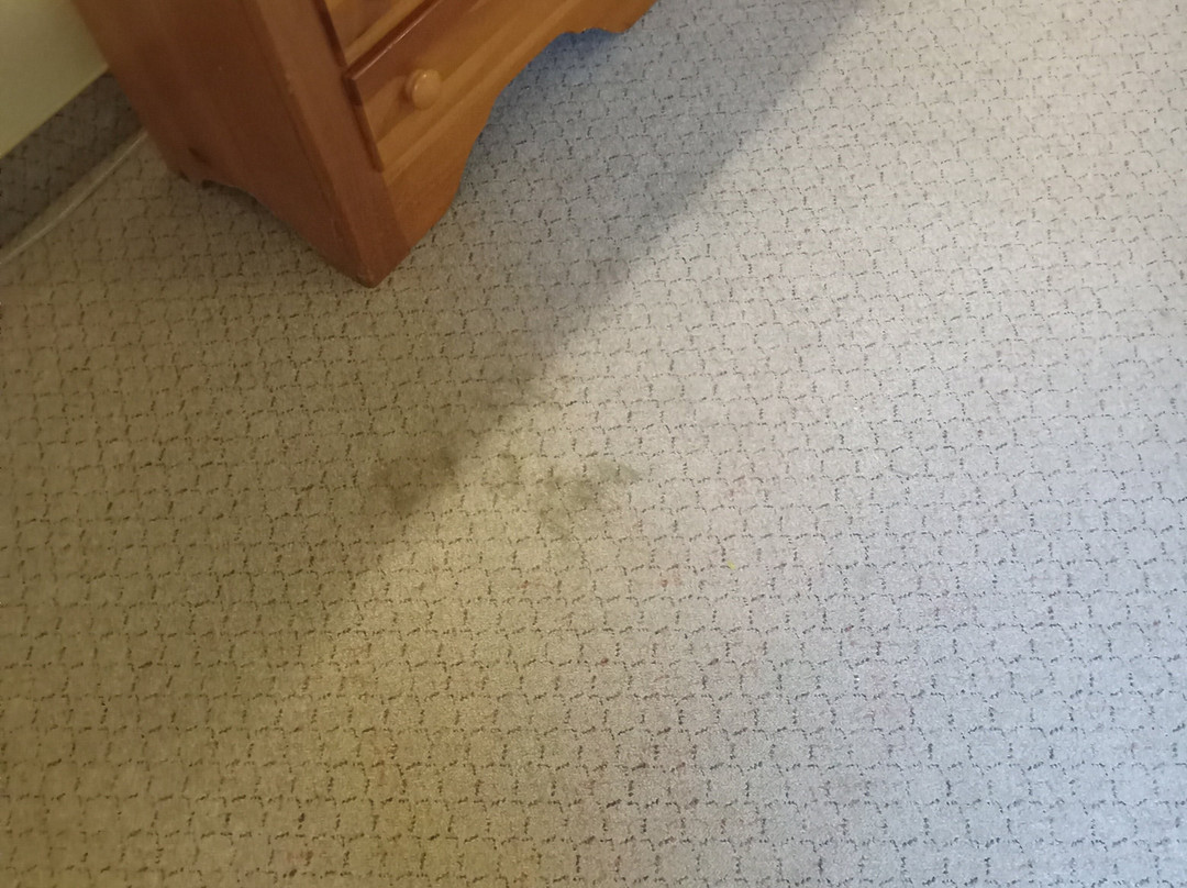 Goettin's Sierra Motel主图