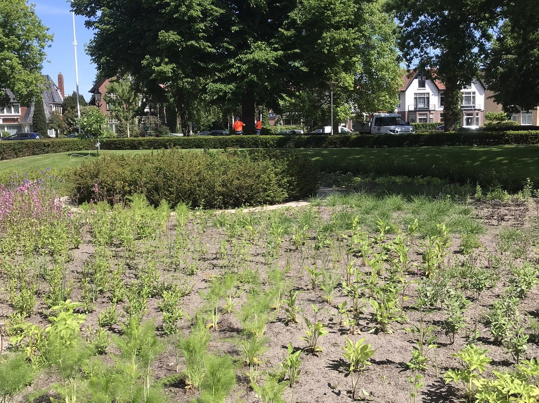 Raadhuis Heemstede (1906)-海姆斯泰德必去景点