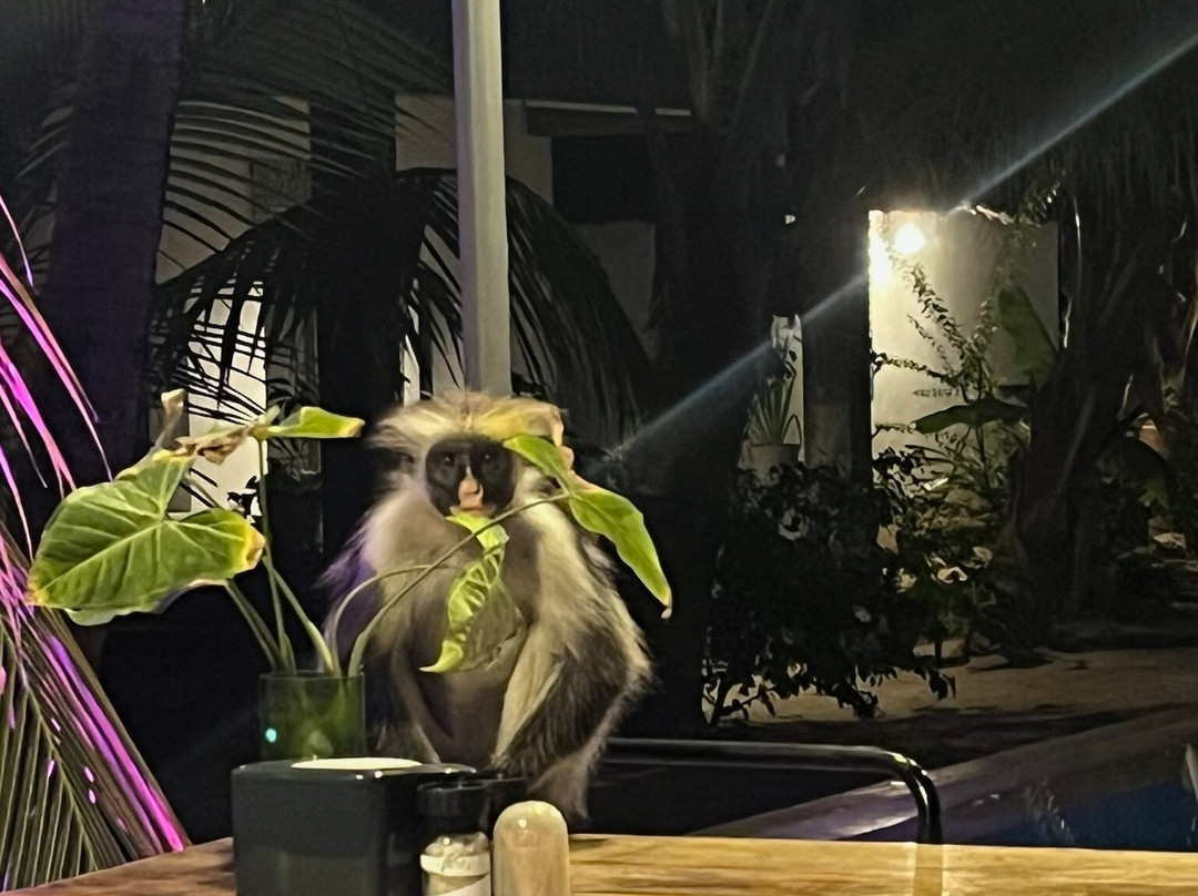 Casa Beach Hotel主图