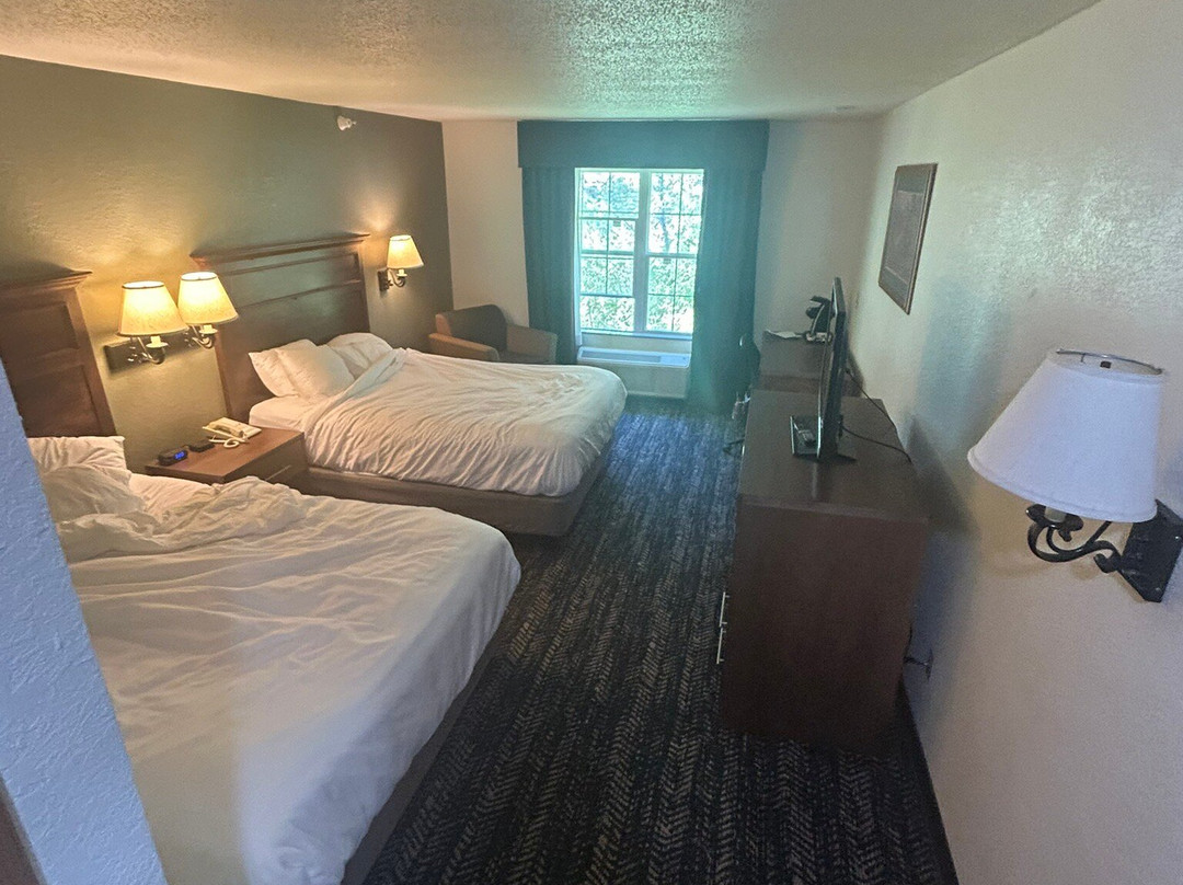 Comfort Inn & Suites Mt. Rushmore主图