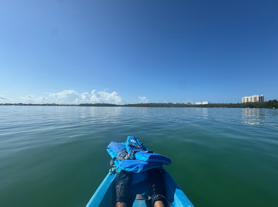 Coastal Kayak Adventures景点图片