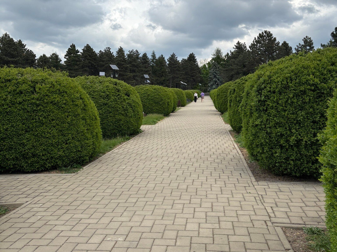 Botanic Garden Anastasie Fătu (Grădina Botanică Anastasie Fătu)景点图片