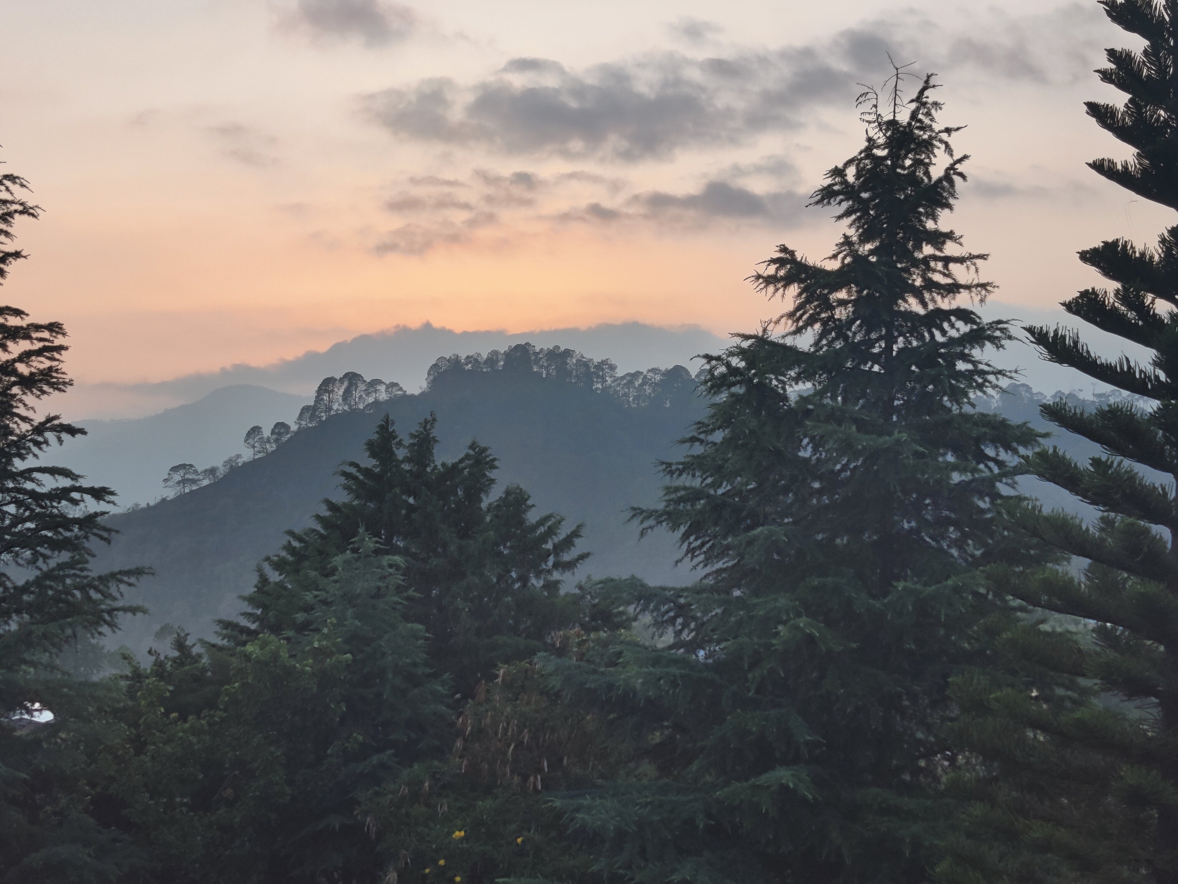 Sattal Forest Resort-酒店景观