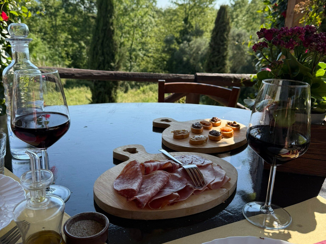Fattoria Al Dotto景点图片