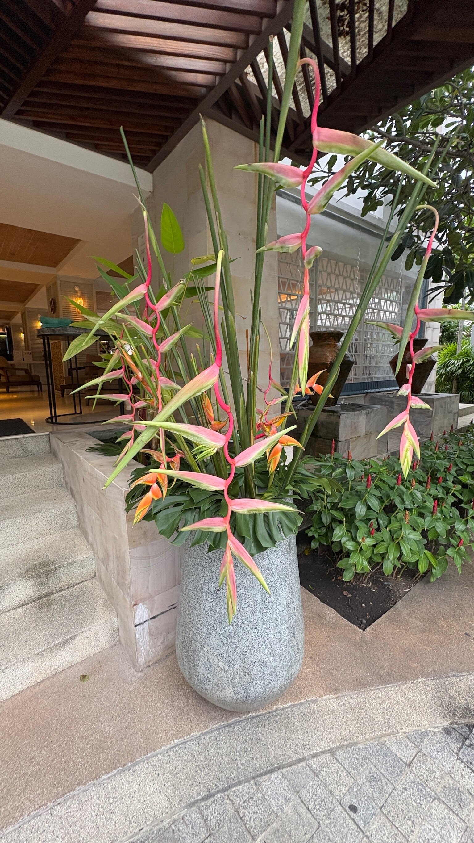 苏梅岛安凡尼臻选度假酒店-浴室
