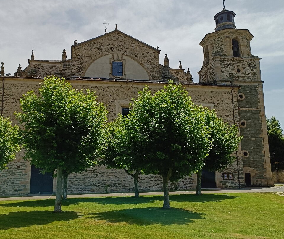 Colegiata de Santa Maria景点图片