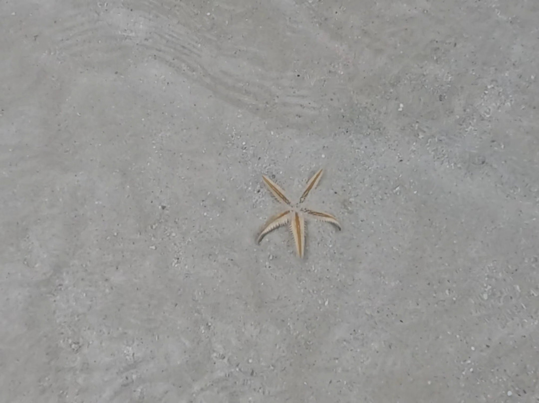 Goodlife Watersports-Leeward必去景点