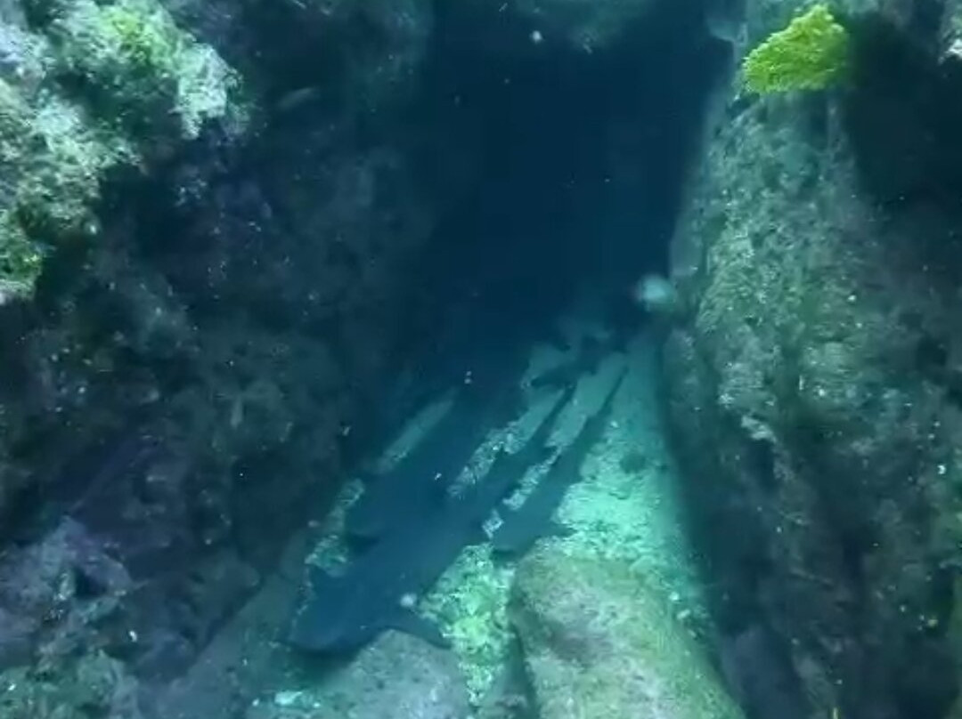 Panama Dive Center景点图片