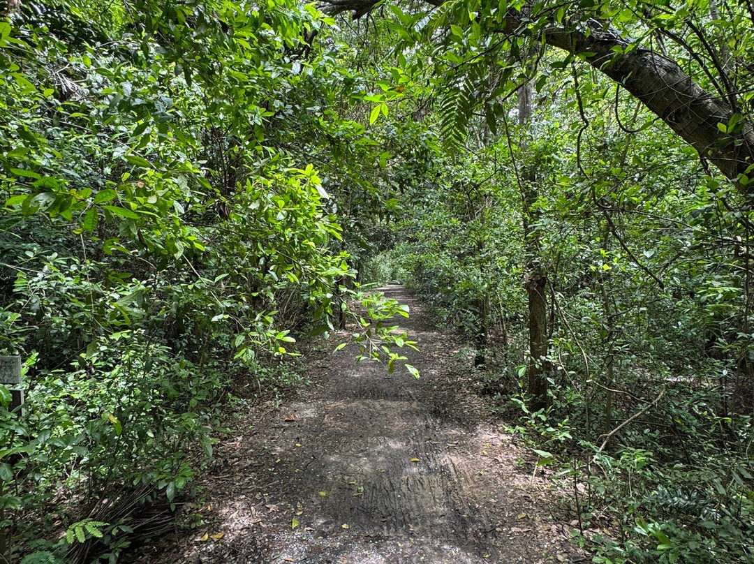 Sri Nakhon Khuean Khan Park And Botanical Garden-帕巴登必去景点