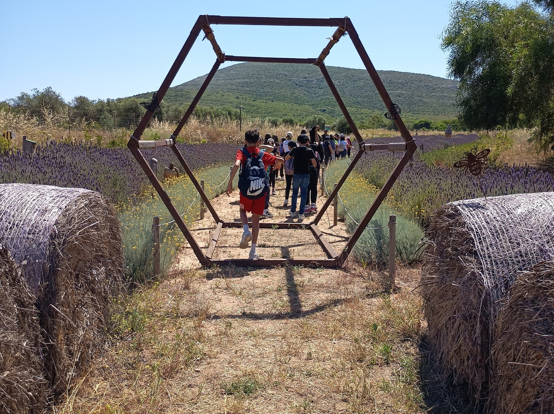 Bee Garden Alghero-阿尔盖罗必去景点