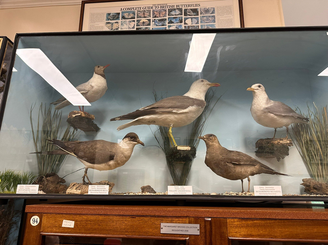 Bournemouth Natural Science Society-伯恩茅斯必去景点
