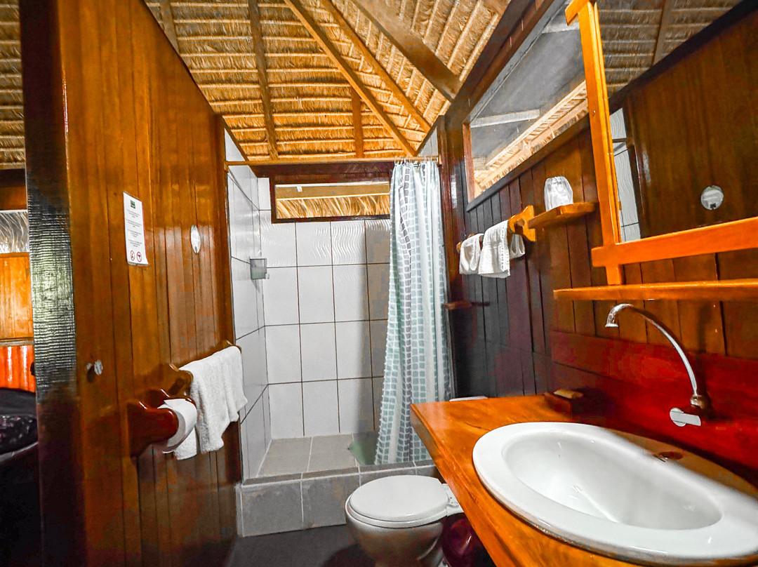 Corto Maltes Amazonia主图