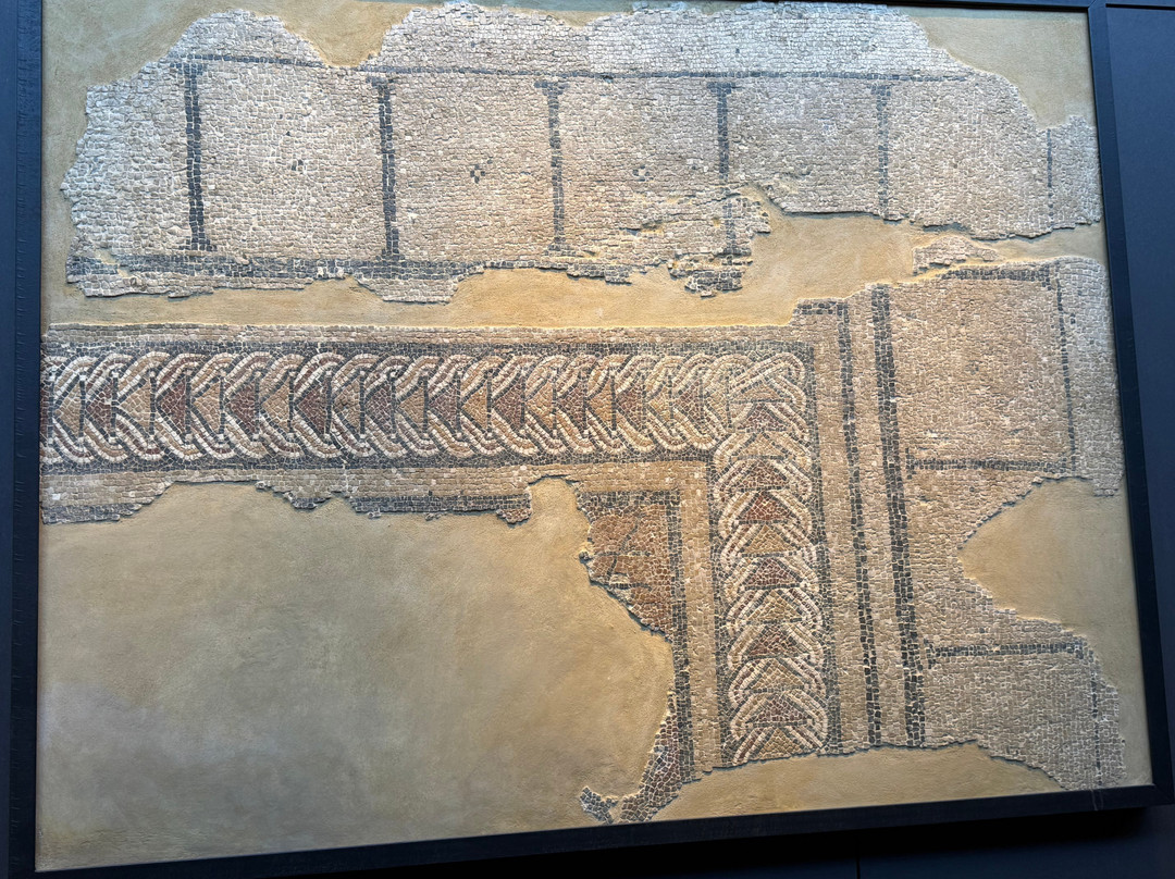 Almoina Archaeological Center景点图片