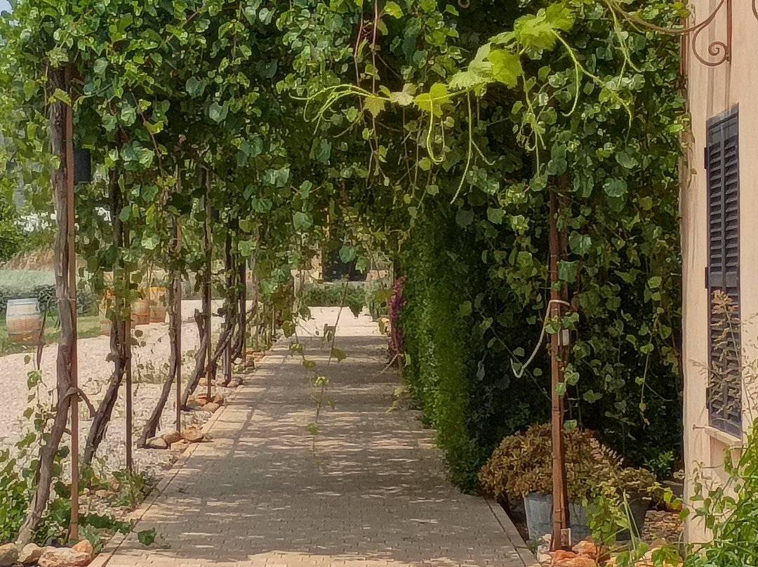 Bodegas Jose L Ferrer景点图片