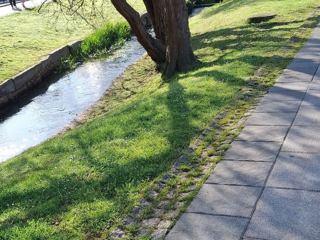 Parque Verde De Bolanos - Balneario景点图片