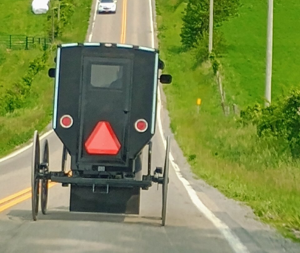 Troyer's Amish Tours-Millersburg必去景点