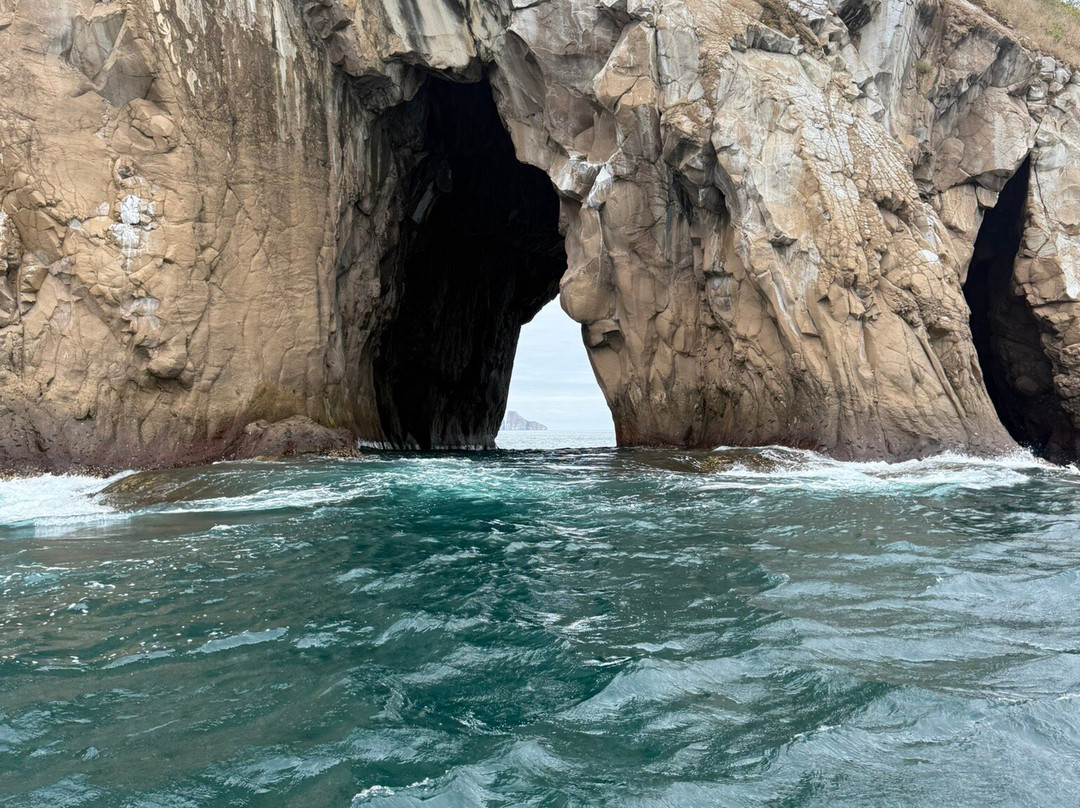 Eco-Challenger Galapagos Tour Agency景点图片