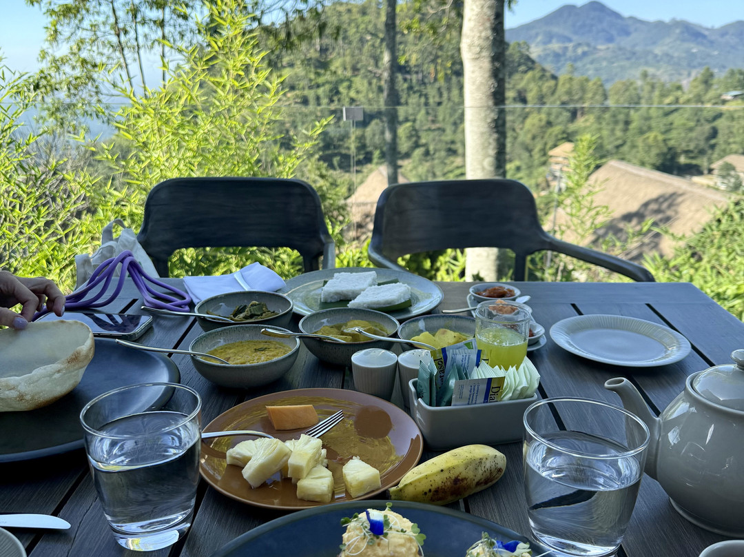 Absolute Lanka Tours景点图片