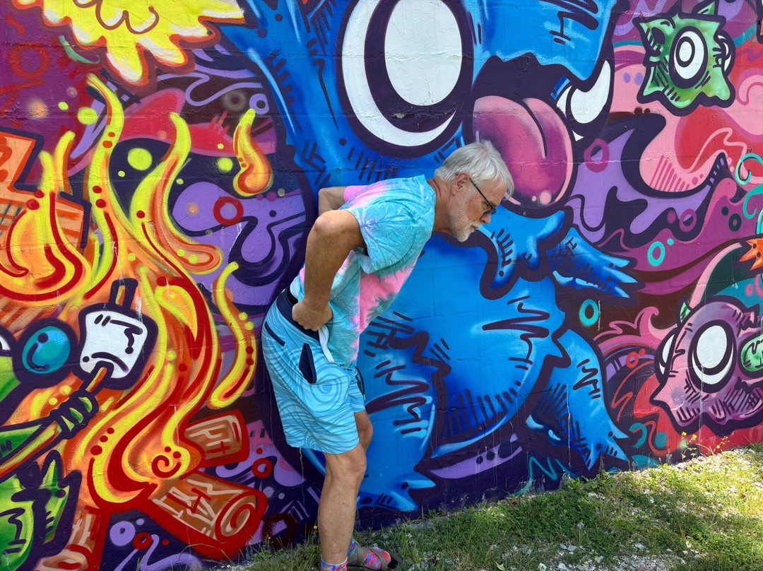 The Walls Art Park-Waverly必去景点