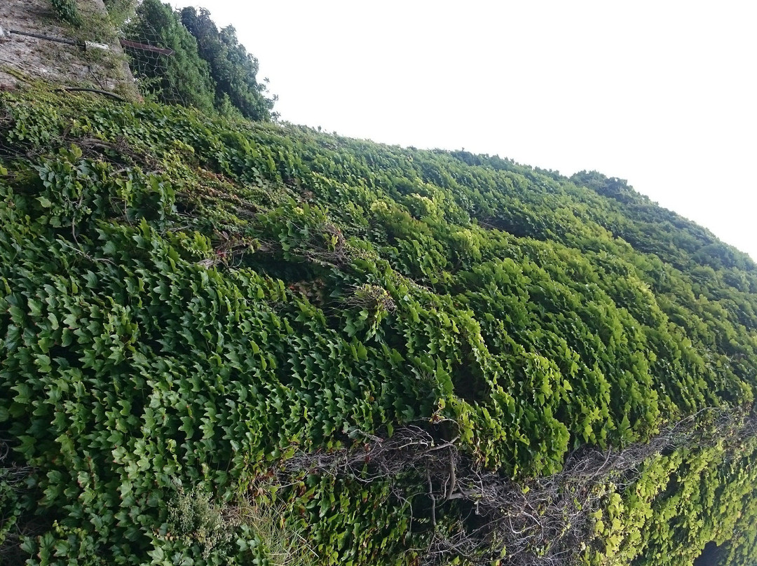 Torre de la Atalaya-里瓦德塞利亚必去景点