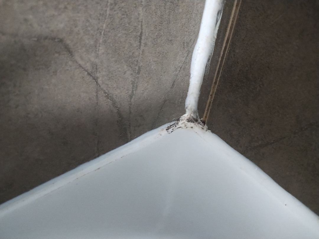 Days Inn by Wyndham Brampton主图