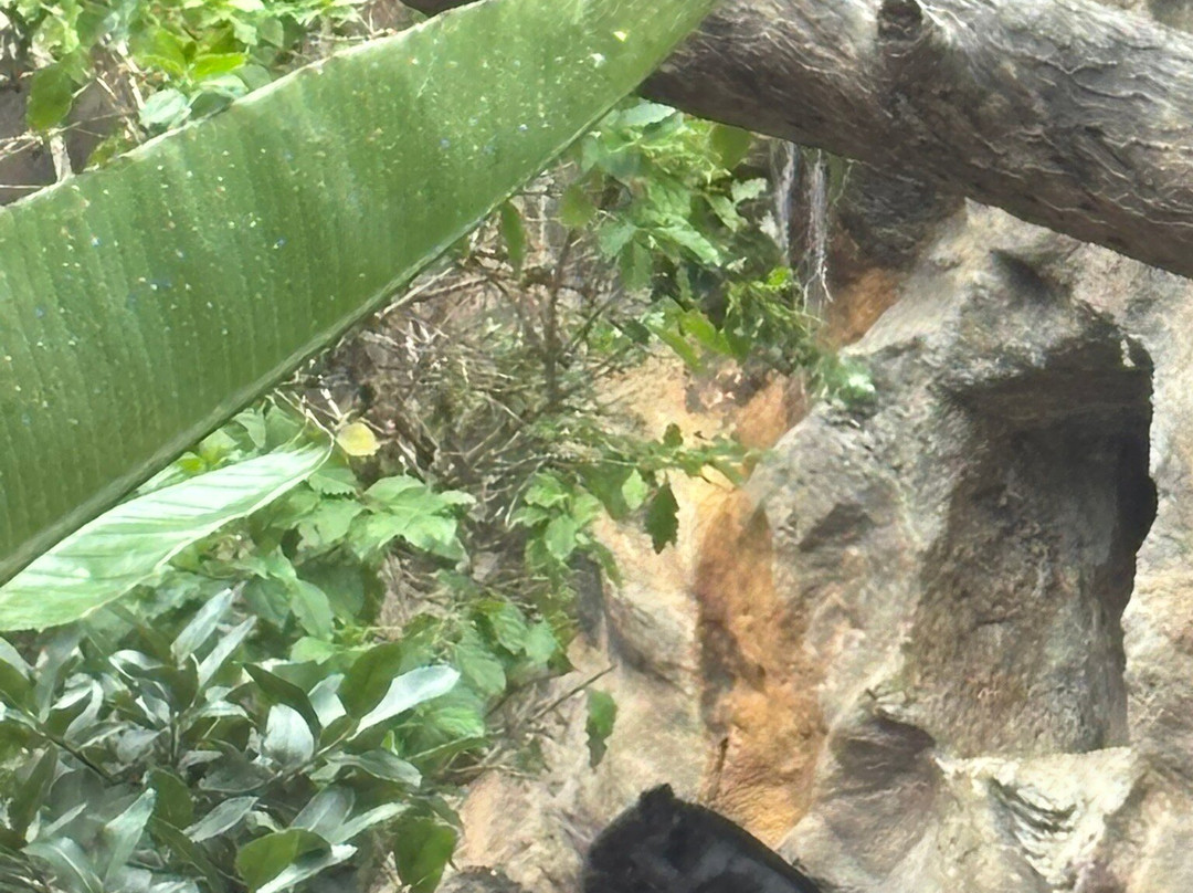 Atlantico Excursions-特纳里夫必去景点