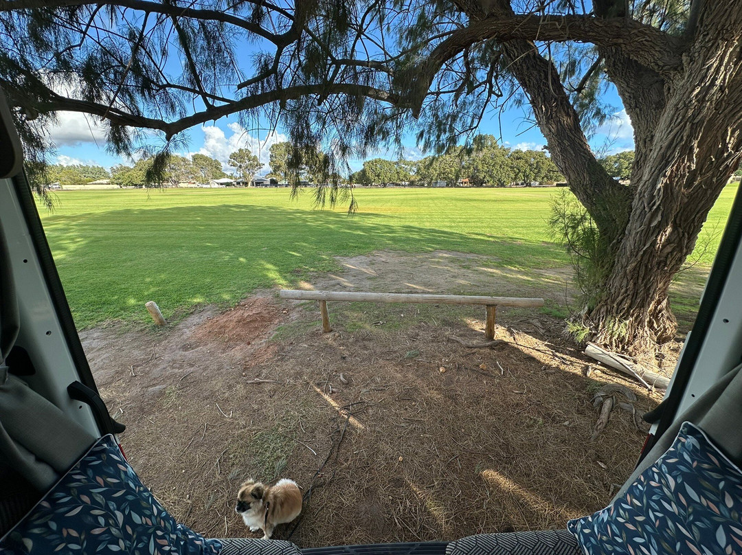 Dongara - Port Denison Visitors Centre-Dongara必去景点
