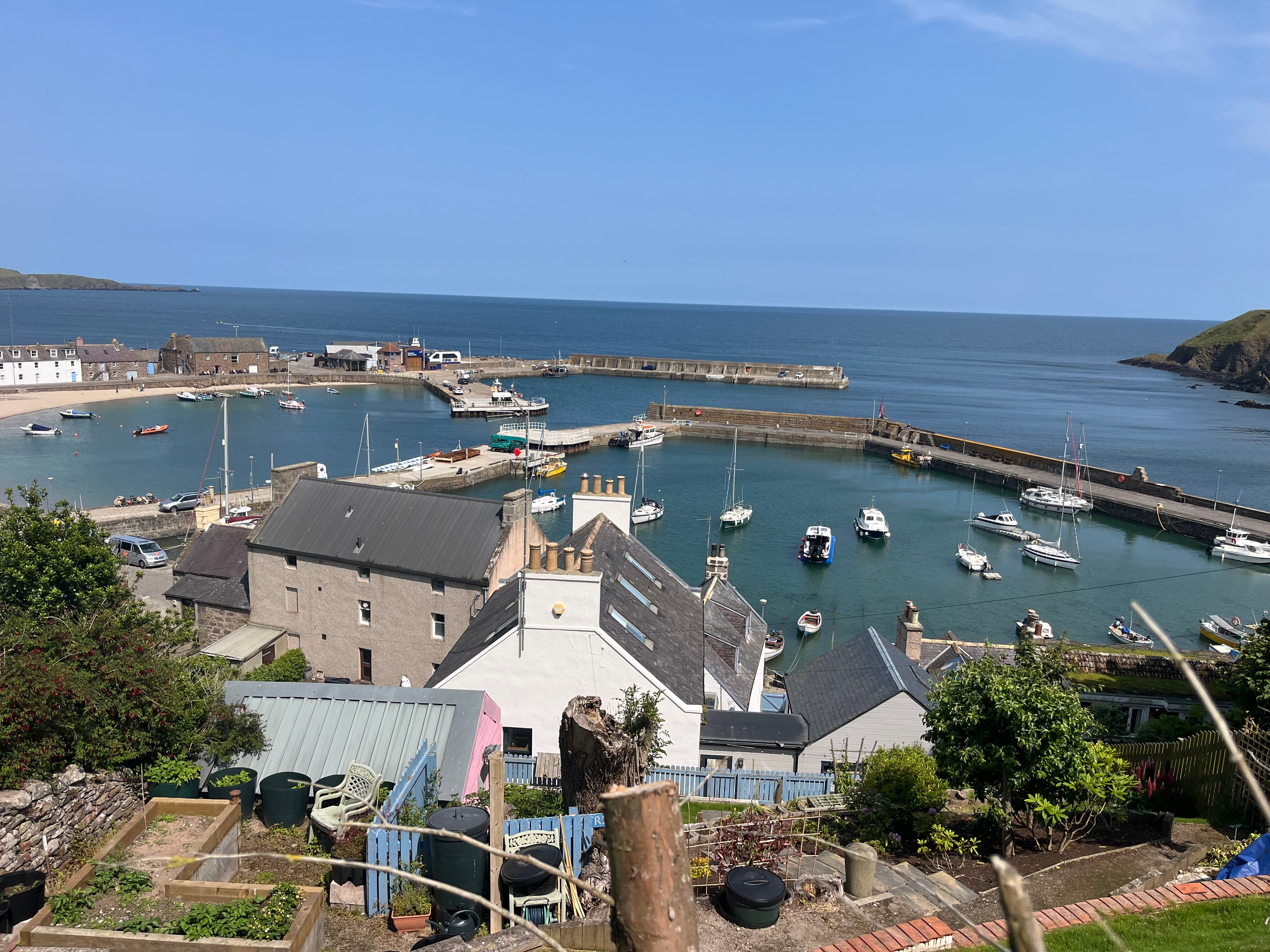 Shorehead Guest House-官方