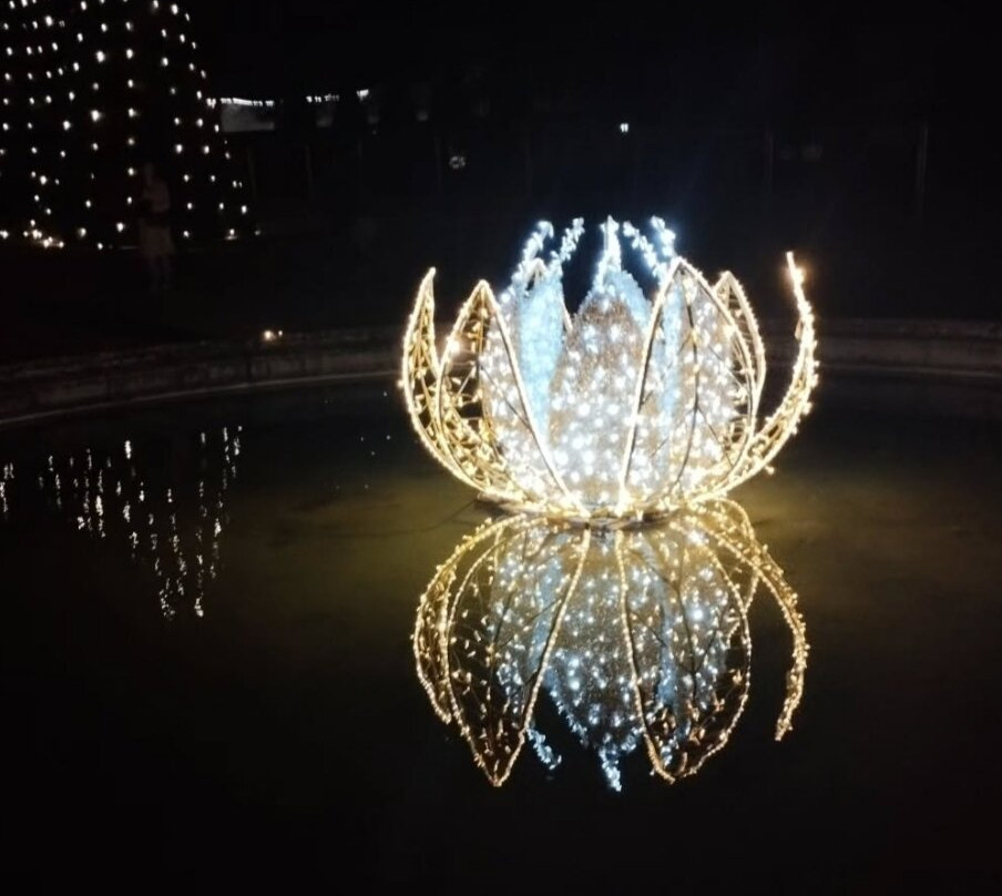 Lumieres En Seine景点图片