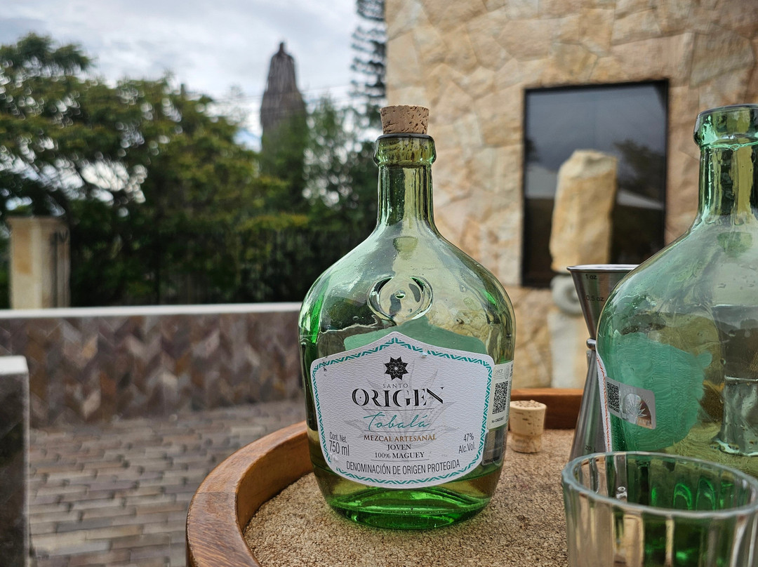 Hotel Casa Santo Origen主图