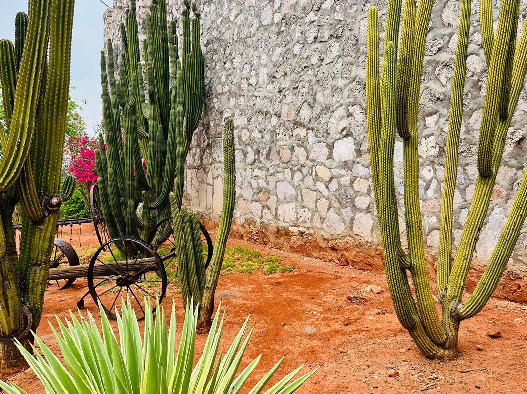 Museo Fuerte Mirador-El Fuerte必去景点