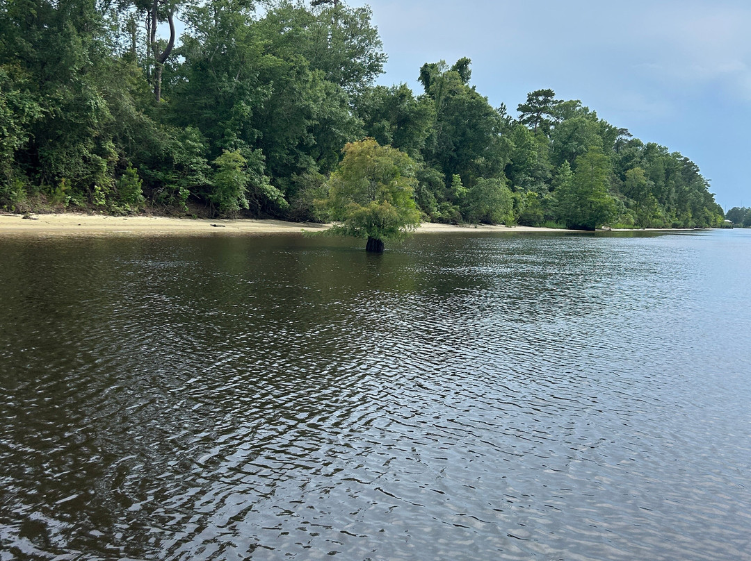 Island Adventure Watersports-美特尔海滩必去景点