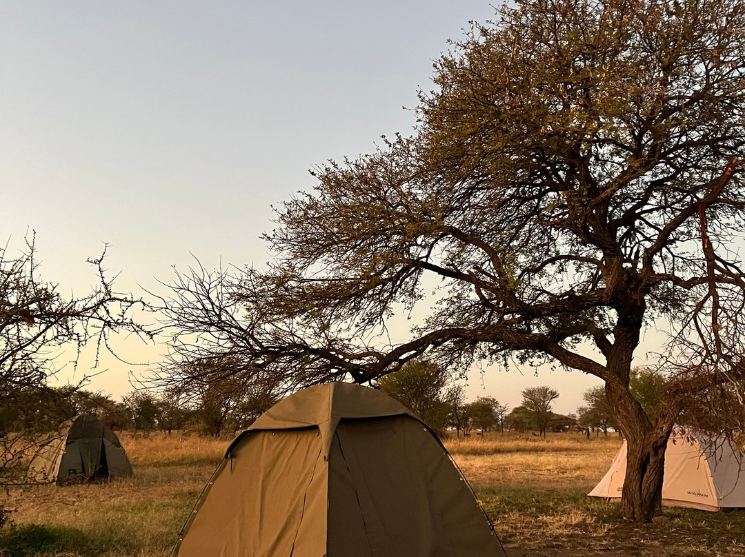 PROCEEDING ADVENTURES LIMITED-Marangu必去景点