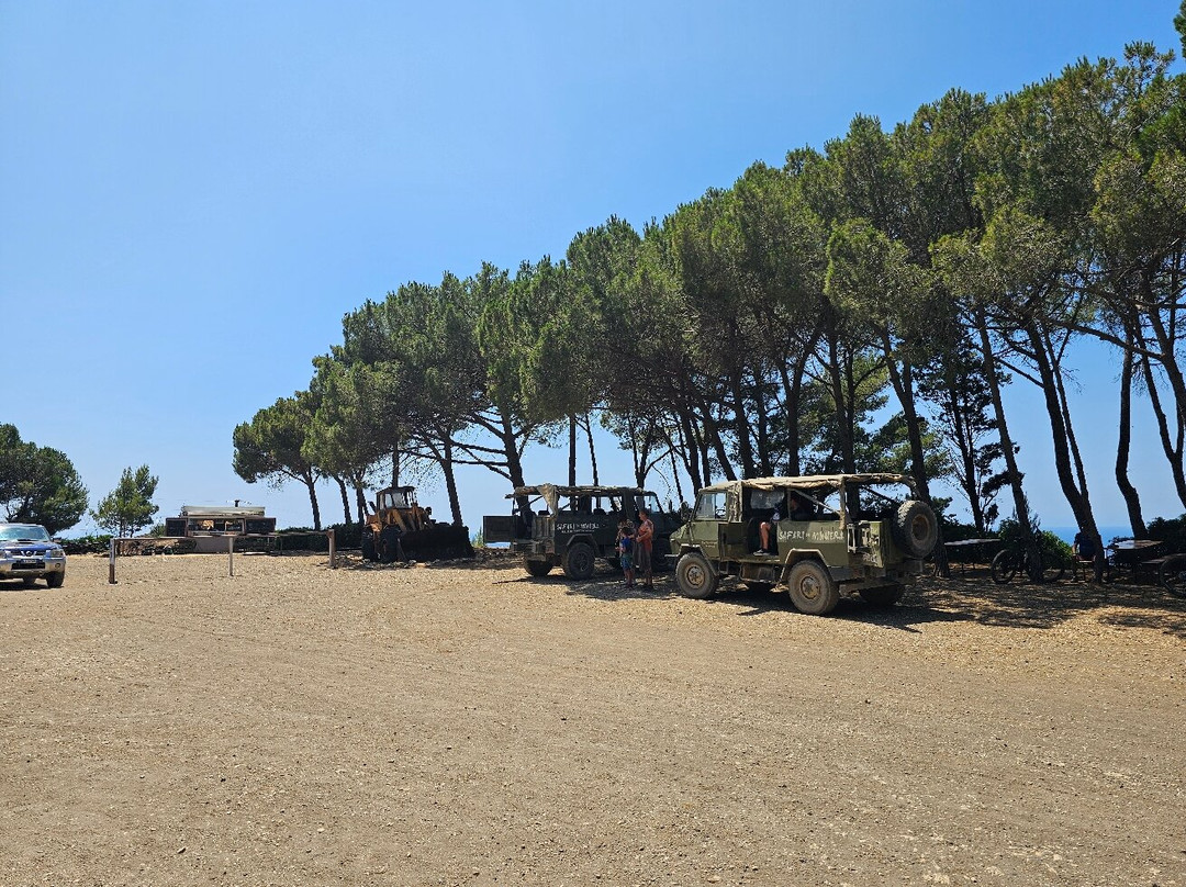 Safari in Miniera景点图片