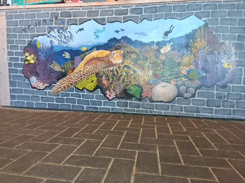 Dive Center Scuba Do-威廉斯塔德必去景点