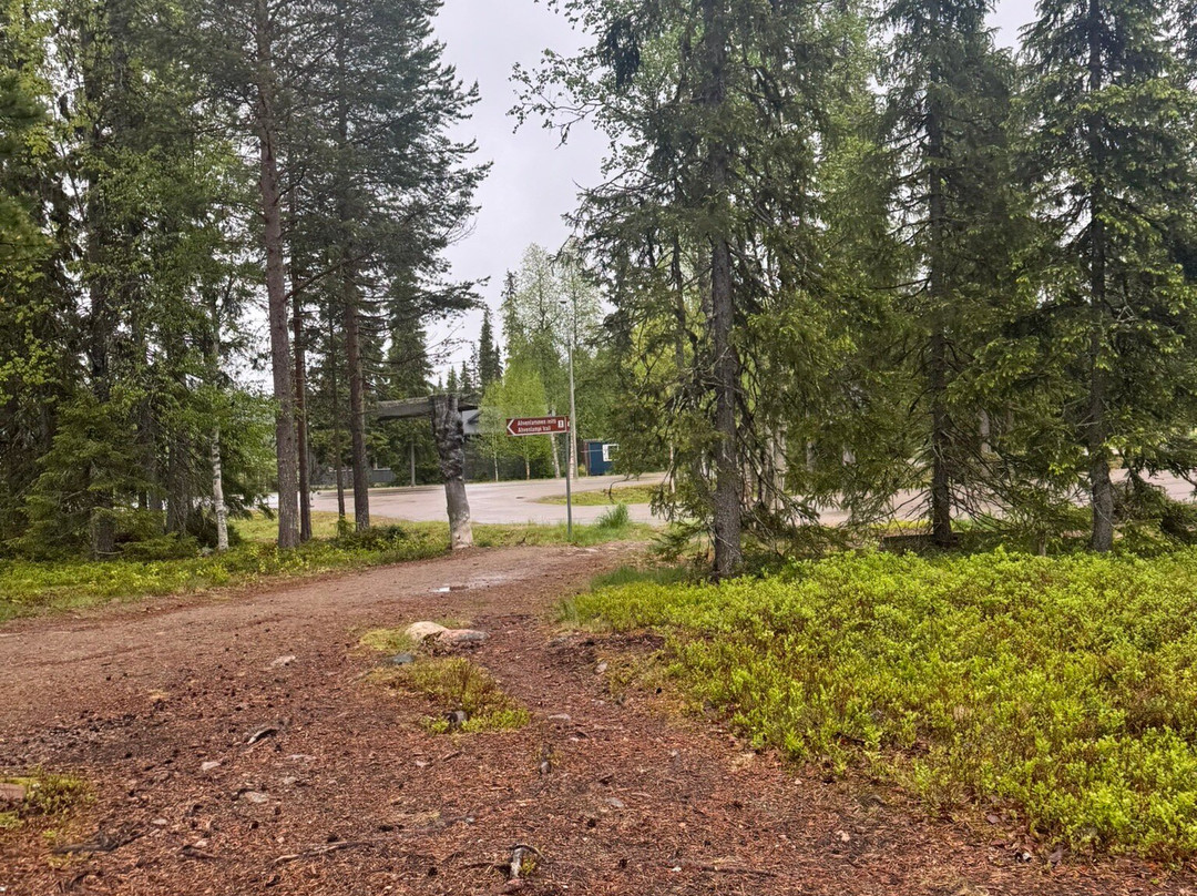 Ahvenlampi Lake-Luosto必去景点