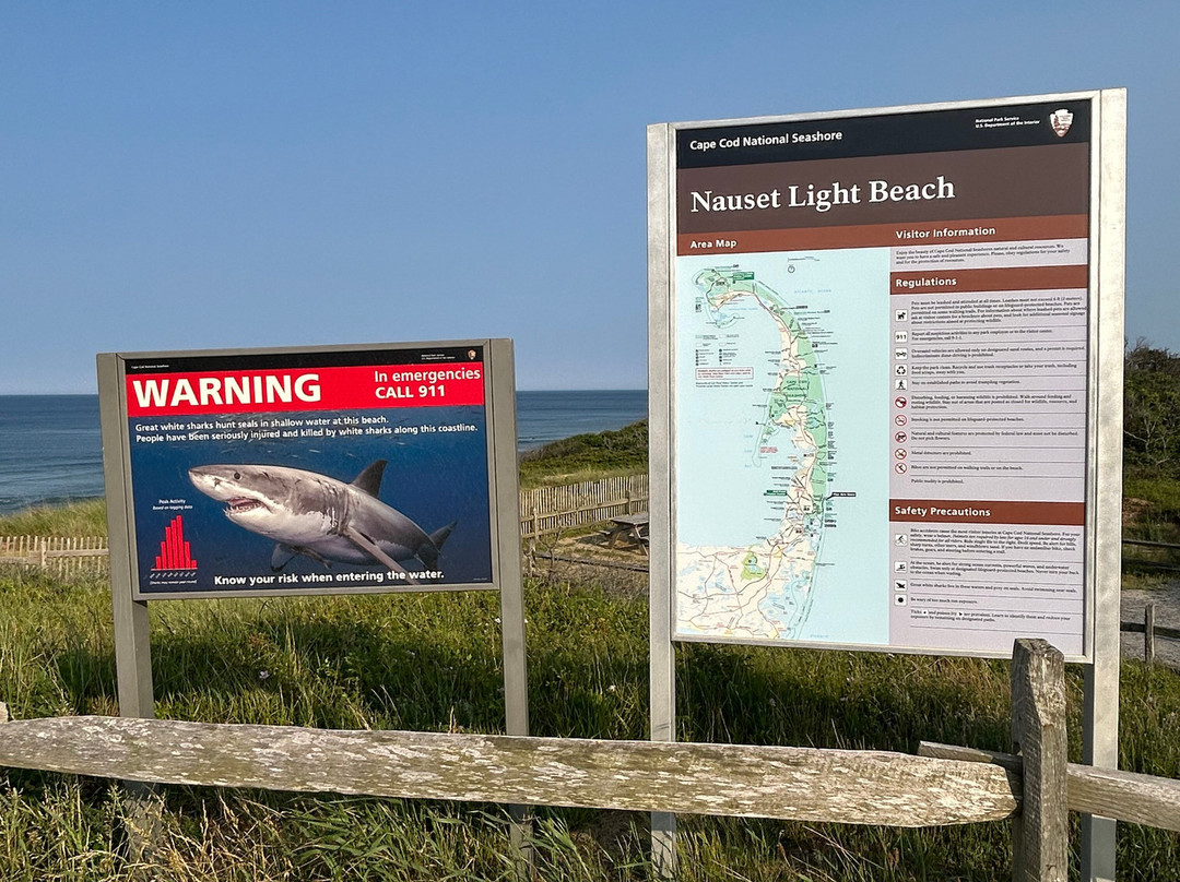 Nauset Light Beach-伊斯特姆必去景点